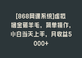 [868网课系统]虚拟撸金薅羊毛，简单操作，小白当天上手，月收益5000+868网课-868网课系统868网课系统