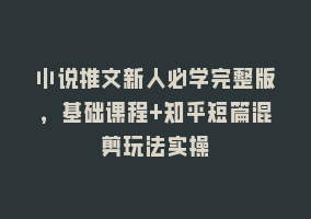 小说推文新人必学完整版，基础课程+知乎短篇混剪玩法实操868网课-868网课系统868网课系统