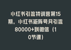 小红书引流特训营第15期，小红书矩阵号月引流80000+到微信（10节课）868网课-868网课系统868网课系统