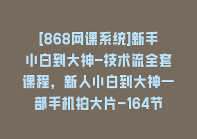 [868网课系统]新手小白到大神-技术流全套课程，新人小白到大神一部手机拍大片-164节课868网课-868网课系统868网课系统