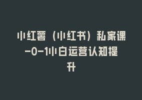 小红薯（小红书）私家课-0-1小白运营认知提升868网课-868网课系统868网课系统