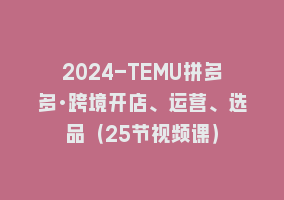 2024-TEMU拼多多·跨境开店、运营、选品（25节视频课）868网课-868网课系统868网课系统