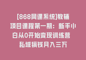 [868网课系统]教辅项目课程第一期：新手小白从0开始变现训练营 私域搞钱月入三万868网课-868网课系统868网课系统