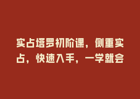 实占塔罗初阶课，侧重实占，快速入手，一学就会868网课-868网课系统868网课系统