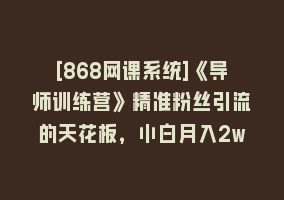 [868网课系统]《导师训练营》精准粉丝引流的天花板，小白月入2w868网课-868网课系统868网课系统