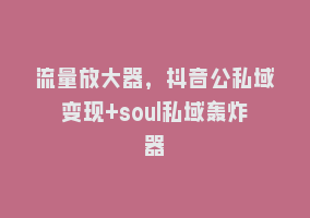 流量放大器，抖音公私域变现+soul私域轰炸器868网课-868网课系统868网课系统