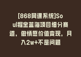 [868网课系统]Soul掘金蓝海项目细分赛道，做情感价值变现，月入2w+不是问题868网课-868网课系统868网课系统