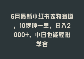 6月最新小红书宠物赛道，10秒钟一单，日入2000+，小白也能轻松学会868网课-868网课系统868网课系统