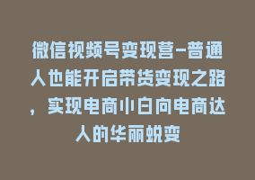 微信视频号变现营-普通人也能开启带货变现之路，实现电商小白向电商达人的华丽蜕变868网课-868网课系统868网课系统