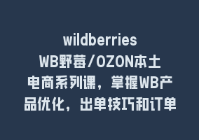 wildberriesWB野莓/OZON本土电商系列课，掌握WB产品优化，出单技巧和订单处理等868网课-868网课系统868网课系统