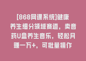 [868网课系统]健康养生细分领域赛道，卖音药U盘养生音乐，轻松月赚一万+，可批量操作868网课-868网课系统868网课系统