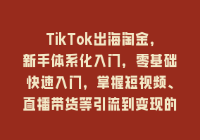 TikTok出海淘金，新手体系化入门，零基础快速入门，掌握短视频、直播带货等引流到变现的知识868网课-868网课系统868网课系统