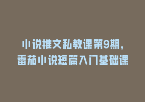 小说推文私教课第9期，番茄小说短篇入门基础课868网课-868网课系统868网课系统