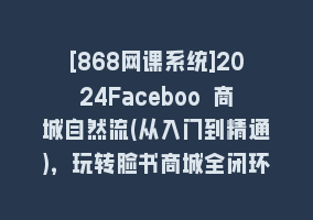 [868网课系统]2024Faceboo 商城自然流(从入门到精通)，玩转脸书商城全闭环(教程+资料)868网课-868网课系统868网课系统