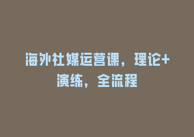 海外社媒运营课，理论+演练，全流程868网课-868网课系统868网课系统