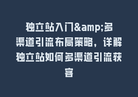 独立站入门&多渠道引流布局策略，详解独立站如何多渠道引流获客868网课-868网课系统868网课系统