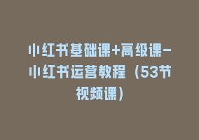 小红书基础课+高级课-小红书运营教程（53节视频课）868网课-868网课系统868网课系统