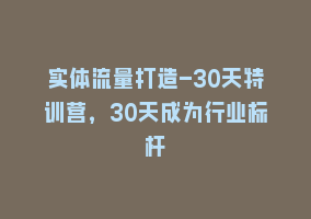 实体流量打造-30天特训营，30天成为行业标杆868网课-868网课系统868网课系统