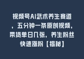 视频号AI武术养生赛道，五分钟一条原创视频，带货单日几张，养生粉丝快速涨粉【揭秘】868网课-868网课系统868网课系统