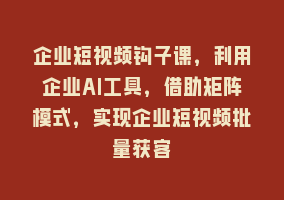 企业短视频钩子课，利用企业AI工具，借助矩阵模式，实现企业短视频批量获客868网课-868网课系统868网课系统