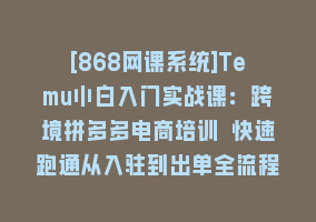 [868网课系统]Temu小白入门实战课：跨境拼多多电商培训 快速跑通从入驻到出单全流程-12节868网课-868网课系统868网课系统