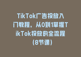 TikTok广告投放入门教程，从0到1掌握TikTok投放的全流程（8节课）868网课-868网课系统868网课系统