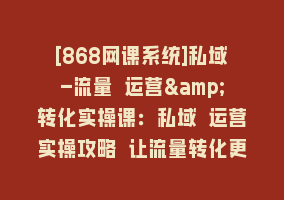 [868网课系统]私域-流量 运营&转化实操课：私域 运营实操攻略 让流量转化更高效868网课-868网课系统868网课系统