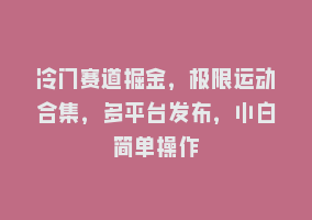 冷门赛道掘金，极限运动合集，多平台发布，小白简单操作868网课-868网课系统868网课系统