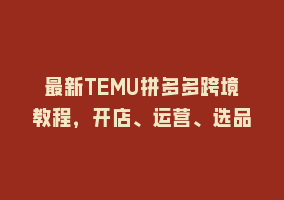 最新TEMU拼多多跨境教程，开店、运营、选品868网课-868网课系统868网课系统