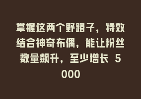 掌握这两个野路子，特效结合神奇布偶，能让粉丝数量飙升，至少增长 5000868网课-868网课系统868网课系统