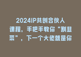 2024IP共创合伙人课程，手把手教你“割韭菜”，下一个大佬就是你868网课-868网课系统868网课系统