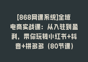 [868网课系统]全域电商实战课：从入驻到盈利，带你玩转小红书+抖音+拼多多（80节课）868网课-868网课系统868网课系统