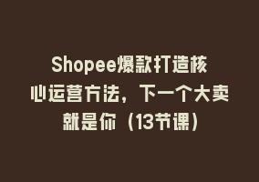 Shopee爆款打造核心运营方法，下一个大卖就是你（13节课）868网课-868网课系统868网课系统