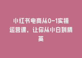 小红书电商从0-1实操运营课，让你从小白到精英868网课-868网课系统868网课系统